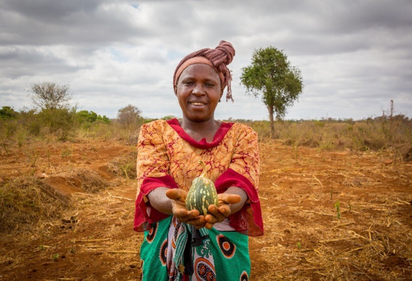 sustainable farming